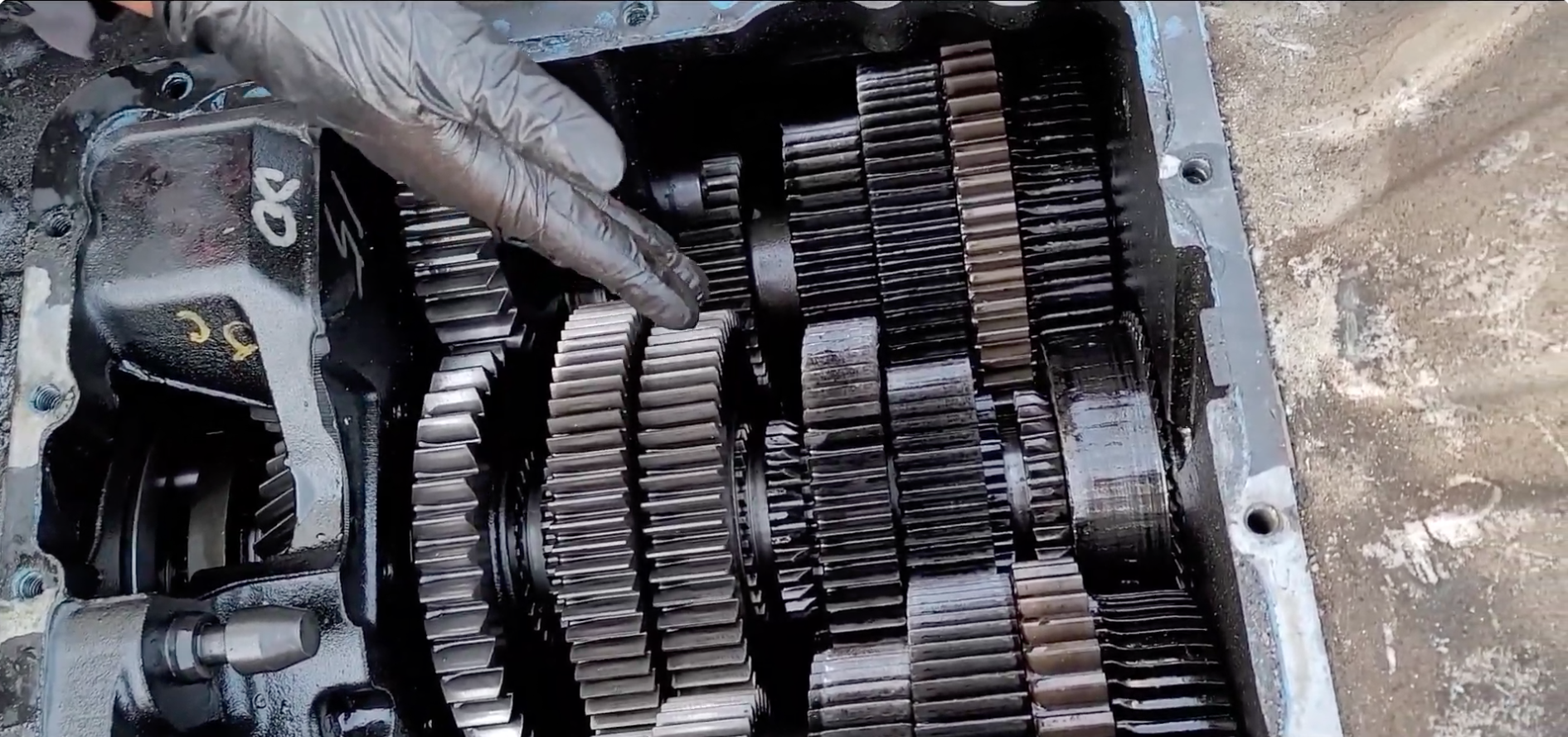 Freightliner Cascadia Transmission Showdown: The Ultimate Guide for Truckers Who Give a Shift