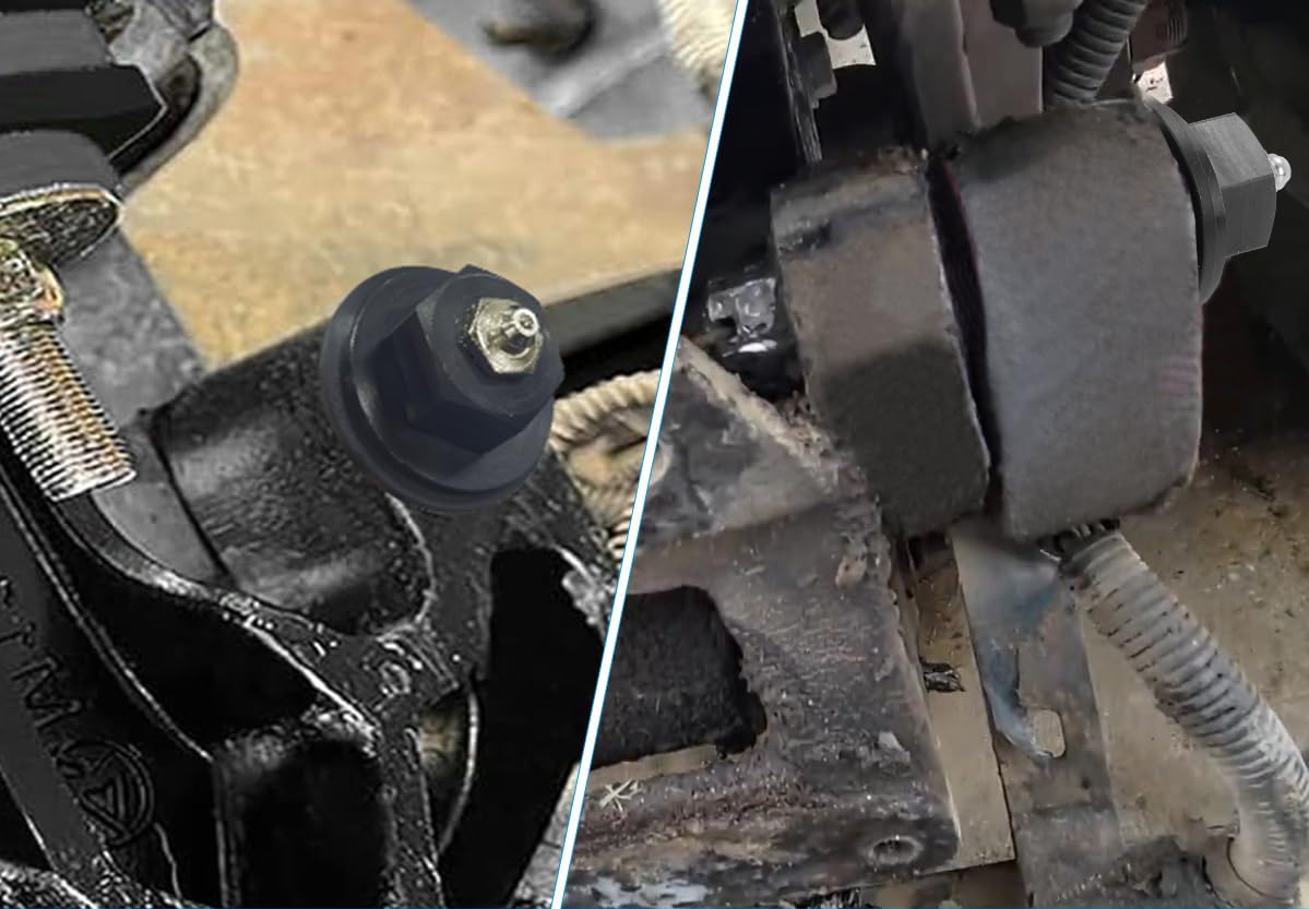 Peterbilt 379 Engine Kits: Unleash Power, Keep Your Kidney